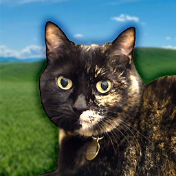 Nadia